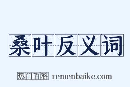 桑叶反义词是什么意思的图片